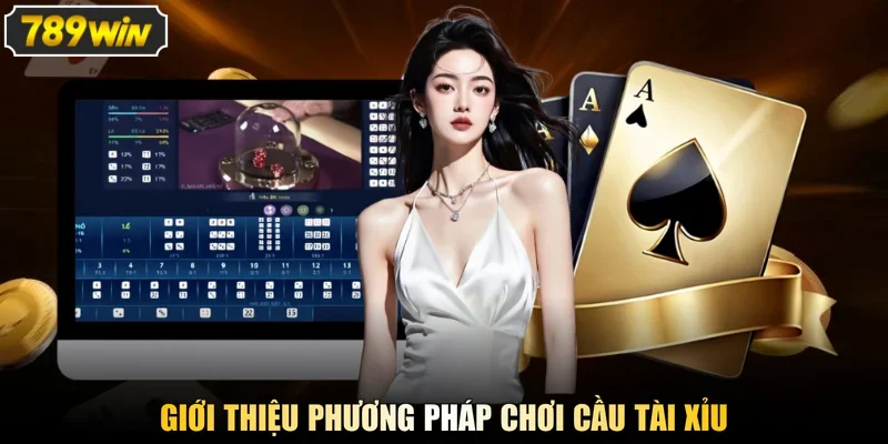 Giới thiệu phương pháp chơi cầu tài xỉu